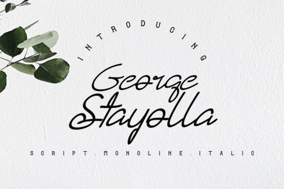 George Stayolla Font: An Elegant, Classy & Modern Handwritten Typeface
