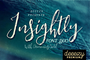 Insightly Font Duo: A Cool Retro Vintage Blend