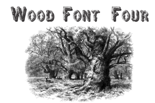Wood Font Four: The Rustic Typeface for Modern Projects
